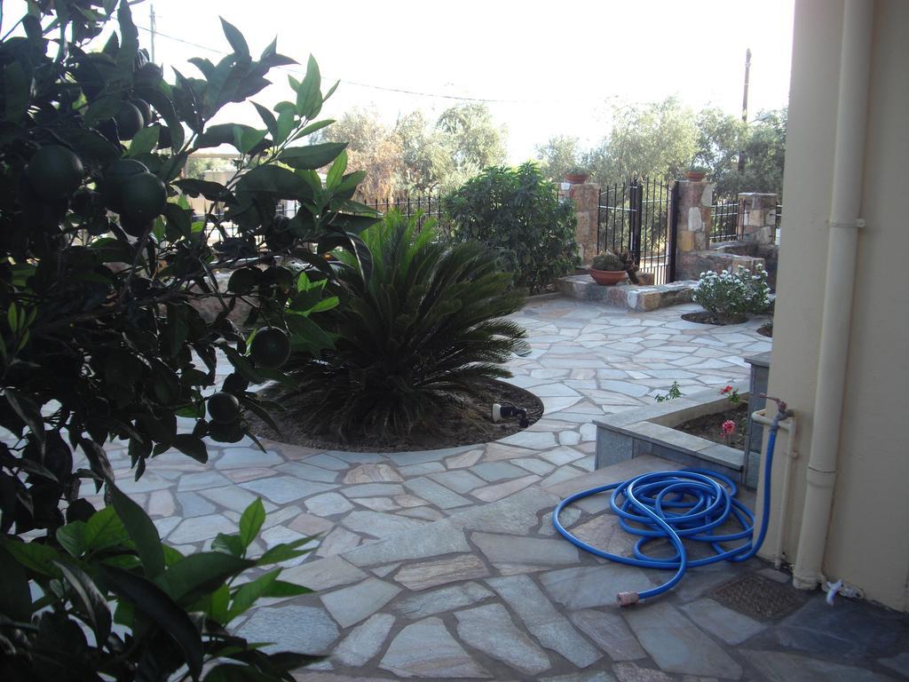 לאוטרה אדיפסאו Natura Studios מראה חיצוני תמונה
